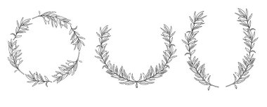 Bir çift zeytin çelengi. El çizimi mürekkep vektörü botanik çizimini izole etti. Kart, amblem, logo ve gıda tasarımı için kullanılabilir