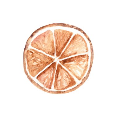 Kurutulmuş portakal dilimi, kurutulmuş turunçgil meyvesi. Kırsal tarzda suluboya çizimi beyaz arkaplanda izole edilmiştir. Noel tatili süslemeleri ve baskıları için tasarım ögesi