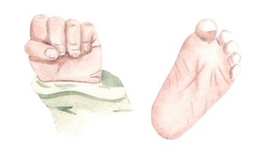 Yeni doğmuş bebek yumruğu ve ayak tabanı seti. Beyaz arka planda elle çizilmiş suluboya çizimi. Bebek partisi ve cinsiyet partisi kartları ve davetiyeleri için.