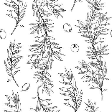 Beyaz arka planda zeytin dalları olan grafiksiz desen. Elle çizilmiş Vektör Grafik Çizimi. Çizgi çalışması. Tekstil, duvar kağıdı baskıları ve ambalaj için kullanılabilir