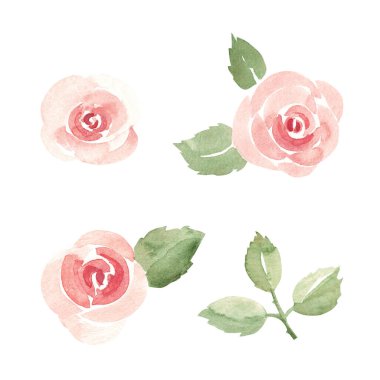 Pembe Güller ve Yapraklar. Basit çizim, minimalist stil. Suluboya El, beyaz arka planda izole edilmiş çiçek resimlerini çizdi. Selamlama, Sevgililer Günü kartları için tasarım ögeleri