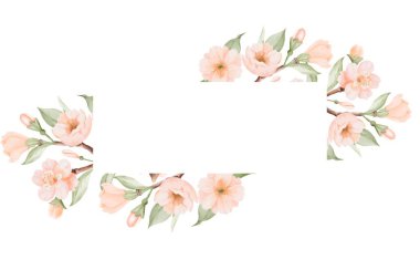 Kuş ve Çiçek Dallı Bahar Meydanı Çerçevesi Şeftali veya Kiraz Çiçekleri ile. Beyaz arka planda elle çizilmiş suluboya çizimi. Doğa tasarımı, tebrik kartları ve kuş günü için ideal