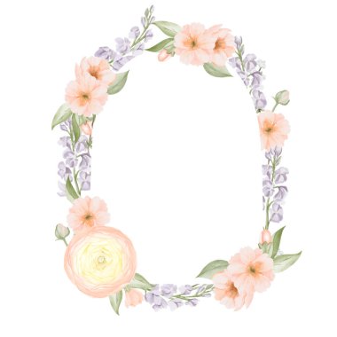 Bahar Çerçevesi, kemer şeklinde, Ranunculus ve Peach veya Cherry 'den sınır, Sakura çiçekleri, Freesia dalları. Beyaz arka planda izole edilmiş suluboya elle boyanmış botanik çizimler. Botanik