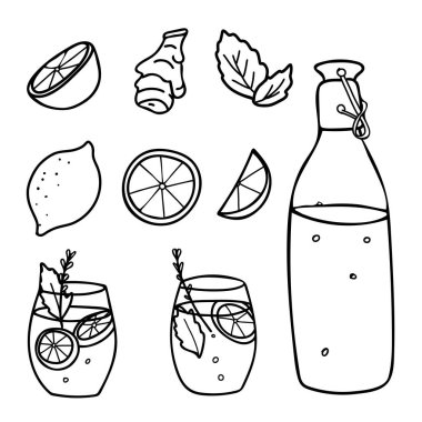 Limonata seti. Şişe, bardaklar, meyveler ve dilimler, zencefil kökü. Limon ve naneli yaz içeceği. Arka planda el çizimi vektör çizimi izole edilmiş. Çünkü...