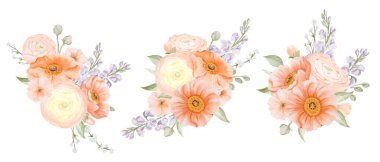 Bahar Buketleri Pastel renklerinde çiçeklerden yapılmıştır. Freesia, Peach veya Cherry ve Snow Willow şubeleriyle Ranunculus ve İzlanda gelincikleri. Suluboya elle çizilmiş botanik çizimler izole edilmiş...