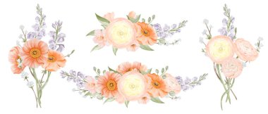 İzlanda Poppy, Ranunculus, Freesia ve Peach veya Cherry 'den buketler. Beyaz bir arkaplanda izole edilmiş suluboya el çizimi, pastel renklerle botanik illüstrasyon. Kartlar için çiçek sanatı, posterler
