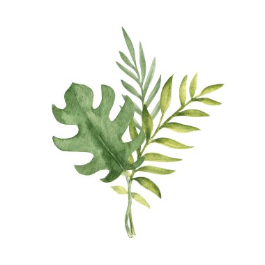 Tropik Yaprak Buketi. Okaliptüs, Palm ve Monstera suluboya kompozisyon. El çizimi botanik çizimi beyaz arka planda izole edilmiş. Kartlar, davetiyeler, posterler ve baskılar için