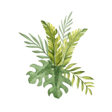 Tropikal Yaprak Kompozisyonu. Okaliptüs, muz palmiyesi ve suluboya buket. El çizimi botanik çizimi beyaz arka planda izole edilmiş. Kartlar, davetiyeler, posterler ve baskılar için