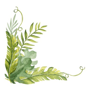 Tropikal Yapraklar Köşesi Buketi, Kompozisyon. Liana ile okaliptüs, Monstera ve Banana Palm. Suluboya Kompozisyon. El çizimi botanik çizimi beyaz arka planda izole edilmiş. Kartlar, davetiyeler için.