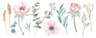 Anemone çiçeği ve okaliptüs dalları kuruldu. Buğday ya da çavdar, kuru sarı Tansy. Suluboya el, beyaz arka planda botanik çizimler yaptı. Doğum günü kartlarını, düğün davetiyelerini kutlamak için randevu ve anneler gününü ayırın.