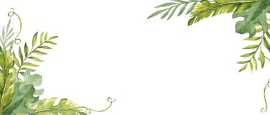 Tropikal Yapraklar suluboya afiş, yatay kare çerçeve. Liana ile okaliptüs, Monstera ve Banana Palm. Kart kalıbı. Beyaz bir arka planda el çizimi çiçek resmi. Tebrik kartları ve davetiyeler için ideal