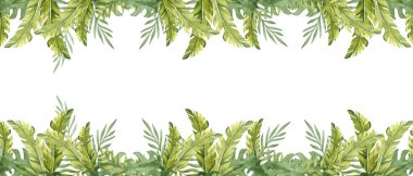 Tropikal Yapraklar 'dan suluboya kare çerçeve, afiş. Liana ile okaliptüs, Monstera ve Banana Palm. Beyaz arka planda el çizimi botanik orman çizimi. Tebrik kartları, davetiyeler ve egzotik tasarımlar için ideal