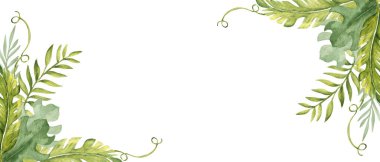 Tropikal Yapraklar suluboya afiş, yatay kare çerçeve. Canavar, okaliptüs ve Liana ile muz palmiyesi. Kart kalıbı. Beyaz bir arka planda el çizimi çiçek resmi. Tebrik kartları ve davetiyeler için ideal, web tasarımı