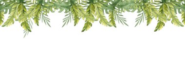 Tropikal Yapraklar suluboya yatay kare çerçeve, pankart. Okaliptüs, Monstera ve Muz Ayası. Beyaz arka planda elle çizilmiş egzotik bir illüstrasyon. Tebrik kartları ve davetiyeler için ideal, yaz tasarımları