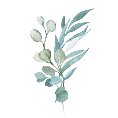 Suluboya okaliptüs buketi. Beyaz bir arka planda el çizimi çiçek kompozisyonu. Doğum günü kartları, düğün, doğum günü davetiyeleri için randevu ve bebek partisi davetiyelerini ayırın.