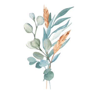 Okaliptüs 'ten suluboya buket ve buğday ya da çavdar ekmekleri. Beyaz bir arka planda el çizimi çiçek kompozisyonu. Doğum günü kartları, düğün, doğum günü davetiyeleri için randevu ve bebek partisi davetiyelerini ayırın.