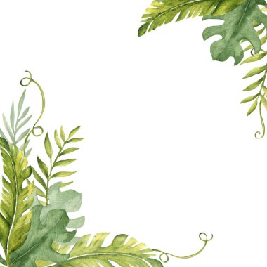 Tropik Yapraklar Kare Çerçevesi. Liana ile okaliptüs, Monstera ve Banana Palm. Kart kalıbı. Beyaz arka planda elle çizilmiş suluboya çiçek resmi. Tebrik kartları ve davetiyeler için ideal