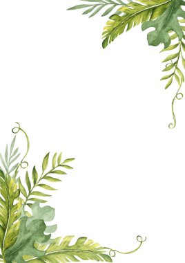 Tropikal Yapraklar 'ın suluboya çizimi dikey kare çerçeve, sınır. Yaz kartı şablonu. Tebrik kartları ve davetiyeler için egzotik bitkiler arka planı.