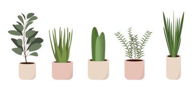 Çizgi film tarzında renkli saksılar. Beyaz arka planda ev ve ofis içleri için bitkilerin vektör illüstrasyonu.