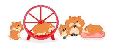 Beyaz arka planda sevimli ve güzel hamsterlar var. Farklı pozlardaki çekici karakterler göz kırpar, tekerlekte koşar, tohum yer, çizgi film tarzında yastıkta uyur..