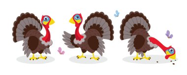 Beyaz arka planda şirin ve güzel hindiler var. Çekici karakterler farklı pozlarda, mutlu dururlar, tanışırlar, çizgi film tarzında tohumları yerler.