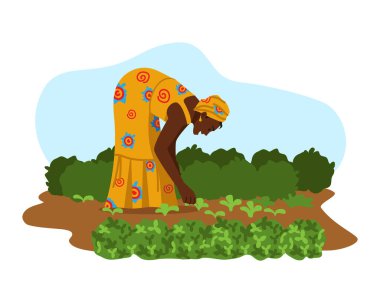 Sahada çalışan Afrikalı bir kadının vektör çizimi. Renkli elbiseli bir kadın, bir elbise ve beyaz bir arka planda izole bir şekilde tarlada çalışan desenli bir başlık..