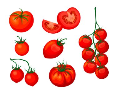 Çizgi film tarzında taze kırmızı domates seti. Sebzelerin vektör illüstrasyonu, beyaz arka planda büyük ve küçük taçlar halinde dilimler halinde kesilir..