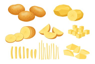 Çizgi film tarzında taze patates. Sebzelerin vektör çizimi bütün ve beyaz arkaplanda dilimler, yarımlar, küpler ve pipetler halinde kesilir.