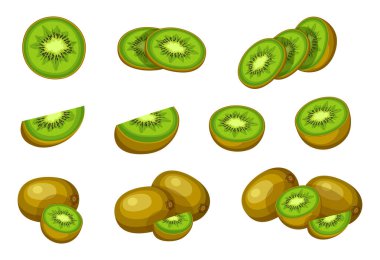 Çizgi film tarzında taze yeşil kivi. Meyvelerin bütün ve küçük boyutlarda, beyaz arka planda yaprakları olan vektör çizimi.