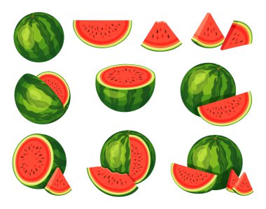Çizgi film tarzında taze kırmızı karpuz seti. Üçgen şeklinde karpuz, ısırılmış karpuz parçası. Bütünün vektör çizimi ve beyaz arkaplanda büyük ve küçük boyutlarda kesilmiş meyveler.