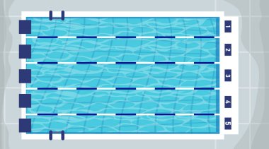 Üst manzara yüzme havuzunun vektör çizimi. Çizgi film yüzme havuzunda numaralandırılmış şeritler, atlayışlar ve merdivenler.