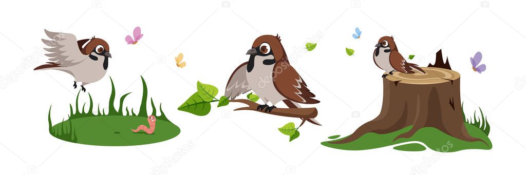 Vector illustration of a cute sparrow on a white background.Charming characters of a bird in different poses flying over a lawn,sitting on a branch, sitting on a stump in a cartoon style.