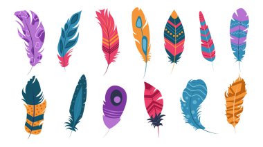 Çizgi film tarzında bir dizi güzel kuş tüyü. Farklı desenlere ve şekillere sahip renkli kuş tüylerinin vektör çizimi: düz ve dalgalı çizgiler, noktalar, beyaz arkaplanda izole edilmiş noktalar..