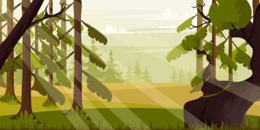 Güzel bir orman manzarasının vektör çizimi. Güneşli gün manzarası karikatür sahnesi, güneş ışınları ile açıklık orman, dallı ağaçlar, geniş gövde, köknar ağaçları, çam ağaçları, çimenler, bitkiler, gökyüzü.