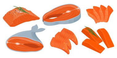 Çizgi film tarzında lezzetli somon seti. Lezzetin vektör çizimi: biftekler, dilimler, biberiye dalları, baharatlar, tuz, beyaz arka planda izole edilmiş karabiberler. Sağlıklı kırmızı balık..