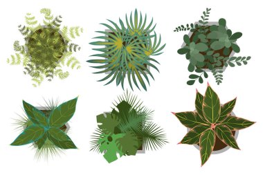 Çizgi film tarzında üst manzara saksıları. Yeşil ev bitkilerinin vektör çizimi: eğrelti otları, kalathea, canavar, palmiye yaprakları, yeşim bitkileri, beyaz arka planda izole edilmiş. Farklı şekillerde çömlekler..