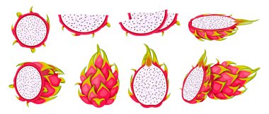 Çizgi film tarzında taze ejderha meyveleri. Parlak pembe derili tropik tatlı pitaya vektör çizimi, beyaz posa, koyu tohumlar: bütün, yarım, dilimler, yuvarlak izole beyaz arka plan.