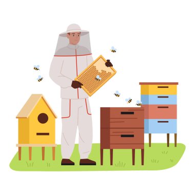 Bir arı yetiştiricisinin vektör çizimi. Koruyucu giysiler giymiş bir arı yetiştiricisinin çizgi film sahnesi, elinde ağlı bir şapka, bal peteği, üreyen arılar, ahşap kovanlar, beyaz arka planda izole edilmiş çimenler..
