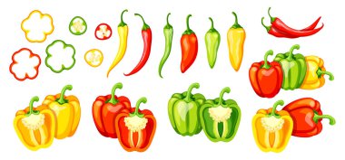 Çizgi film tarzında renkli biber seti. Taze sağlıklı dolmalık biberlerin ve kırmızı biberlerin vektör çizimi: yuvarlak, tohumlu, yarı izole edilmiş beyaz arka plan. Kırmızı, sarı, yeşil biber.