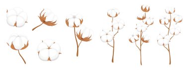 Çizgi film tarzında beyaz pamuk seti. Beyaz arka planda farklı şekil ve boyutlarda pamuk çiçekleri olan güzel kahverengi dalların vektör çizimi. Tekstil, yumuşak, kabarık lifler.
