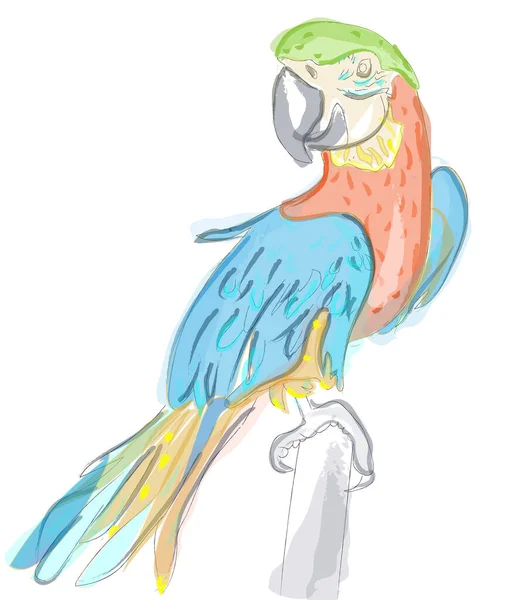 Papağan Renkli Suluboya Vektör Çizgi Film Karakteri — Stok Vektör