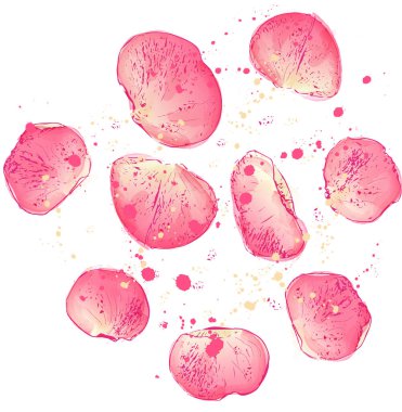 Gül yaprakları dokusu suluboya vektör arkaplanı