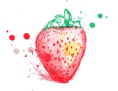 Çilekli suluboya vektörü renkli sıçrama izole edildi