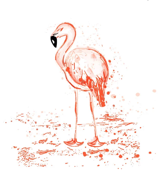 Flamingo Watercolor Vector Tropic Bird Splash Color — Stock Vector