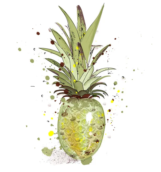 Ananász Vektor Akvarell Fröccsenő Trópusi Gyümölcsök Illusztráció — Stock Vector
