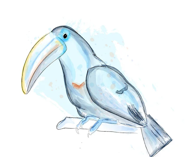 Aquarelle Vecteur Oiseau Tucano Affiche Bleue — Image vectorielle