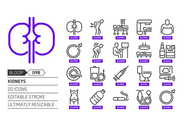 stock vector Kidneys related, pixel perfect, editable stroke, up scalable, line, vector bloop icon set.