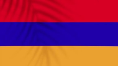 armenia flag videos. Slow Motion videos. Flag Blowing Close Up with tree shadow 4k