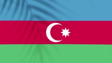 Azerbaijan flag videos. Slow Motion videos. Flag Blowing Close Up with tree shadow 4k