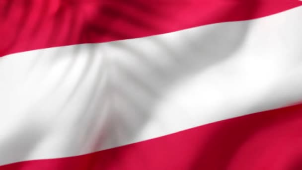 Austria Flag Videos Slow Motion Videos Flag Blowing Close Tree — Video Stock